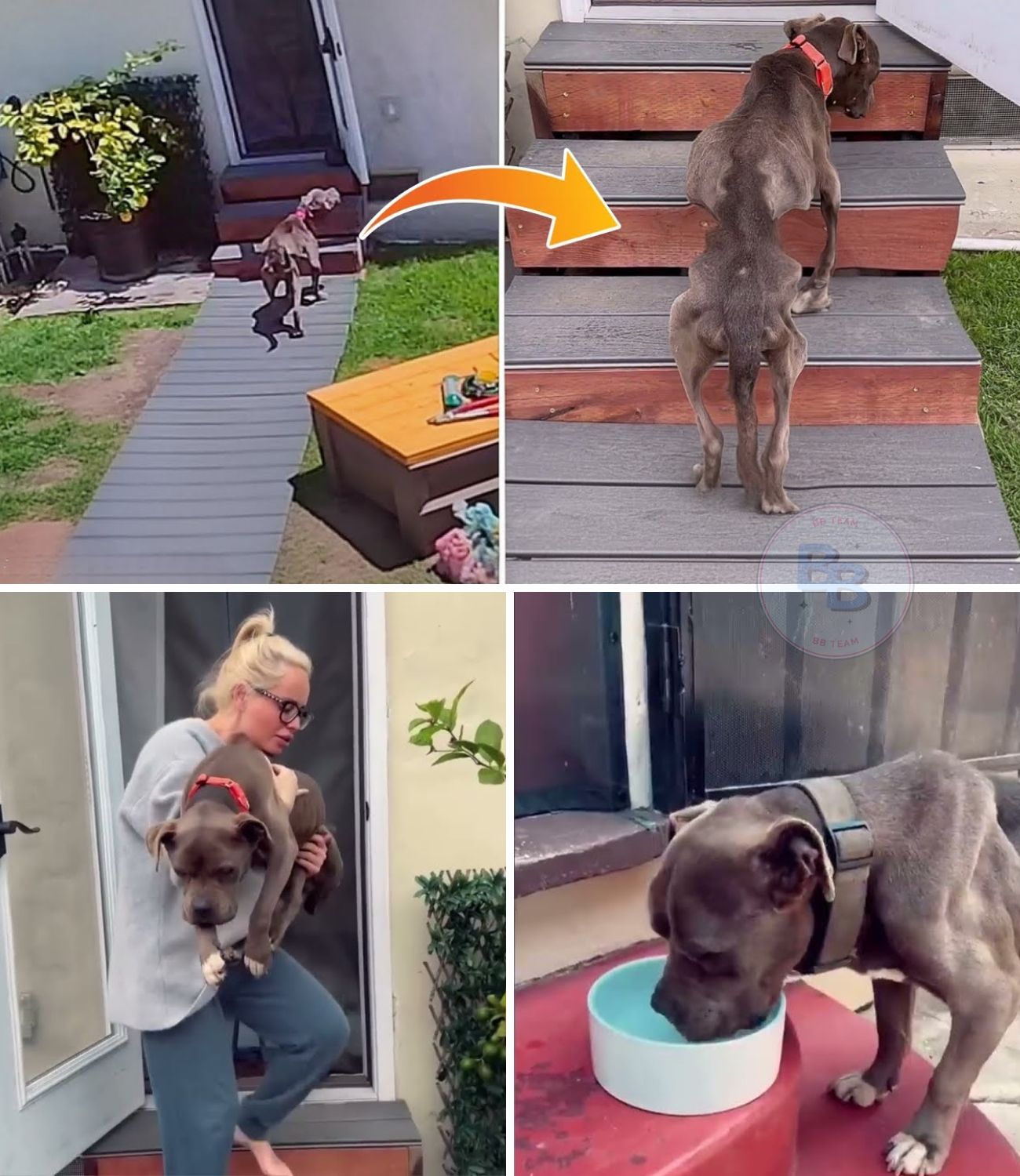 The Unseen Truth: The Shocking Details Behind The Footage That Is Breaking The Internet